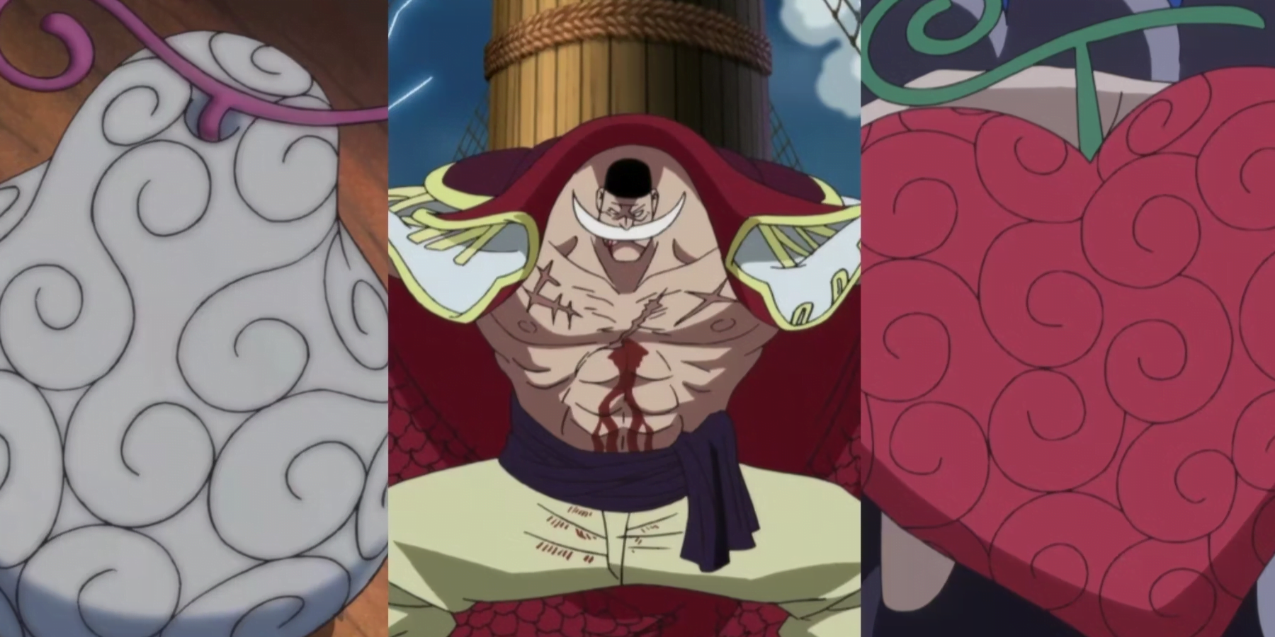 One Piece : Les Fruits du Démon de Type Paramecia, Expliqués